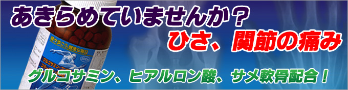 晴々快足EX