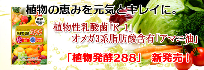 植物発酵288